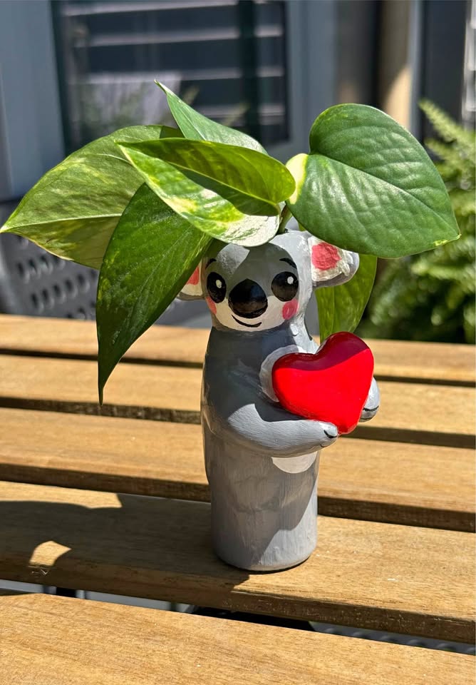 Pothos and planter