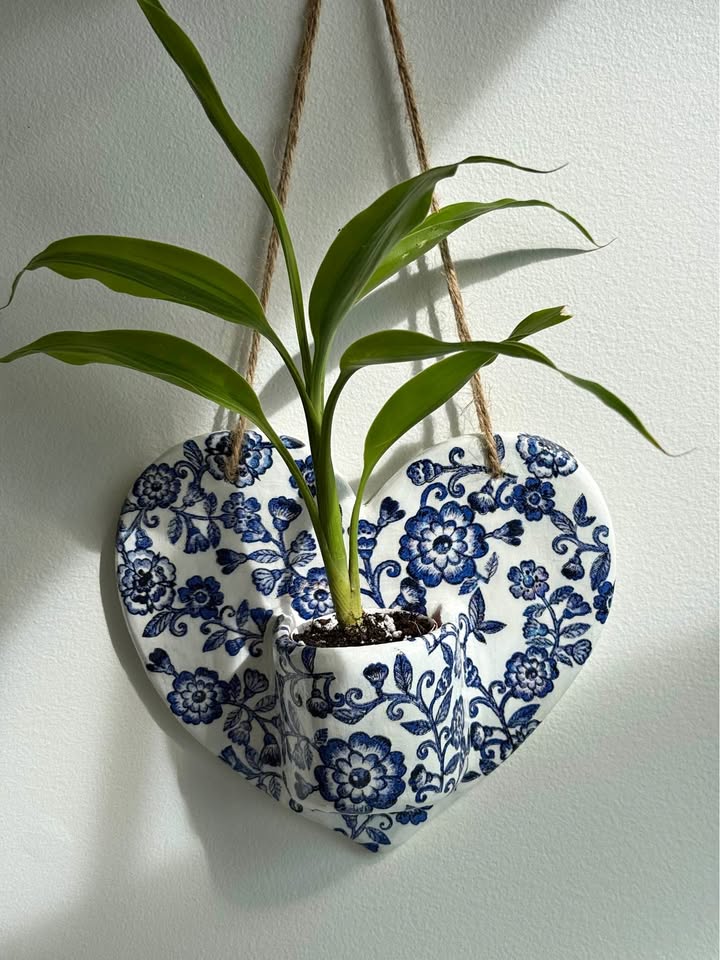 Wall Planter +free plant